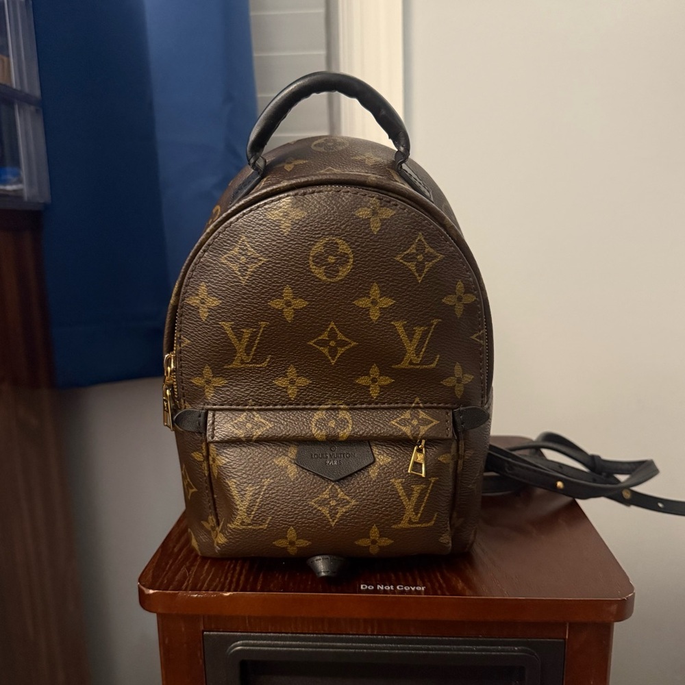 Louis Vuitton Palm Springs Mini See Photos